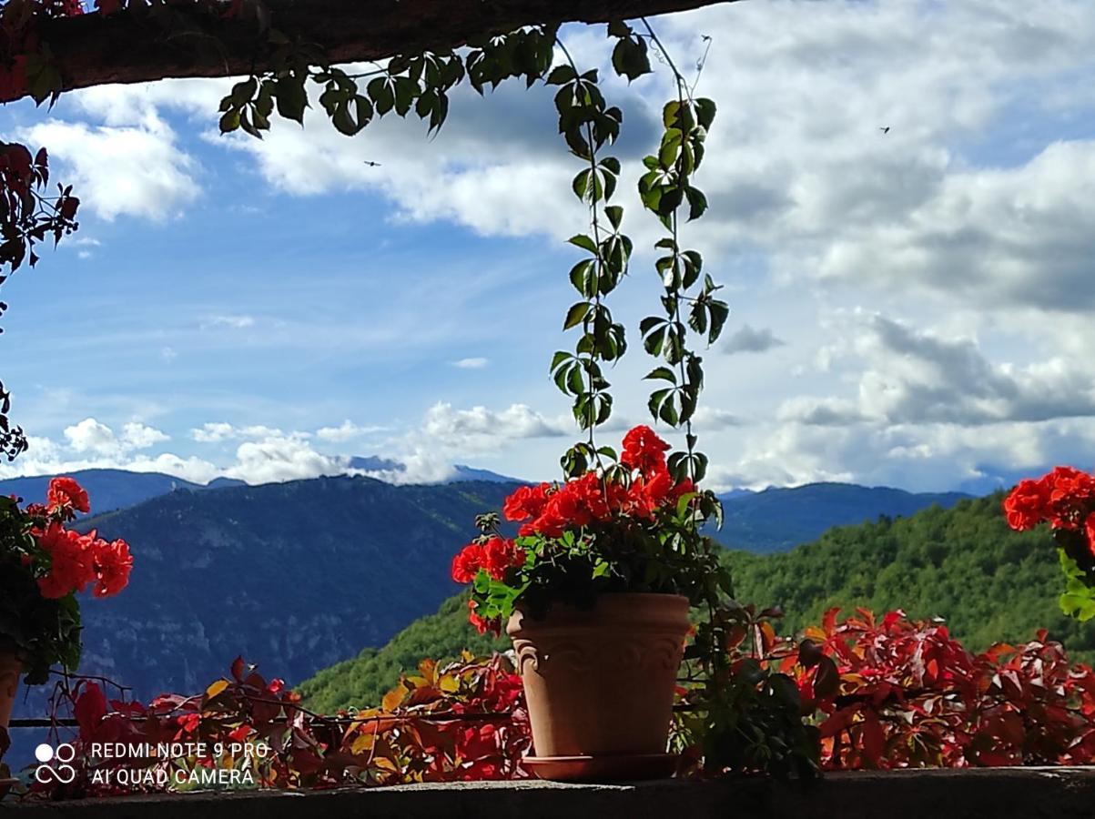 Casa Rural Vilaspasa, Alquiler Integro Gotarta Екстериор снимка