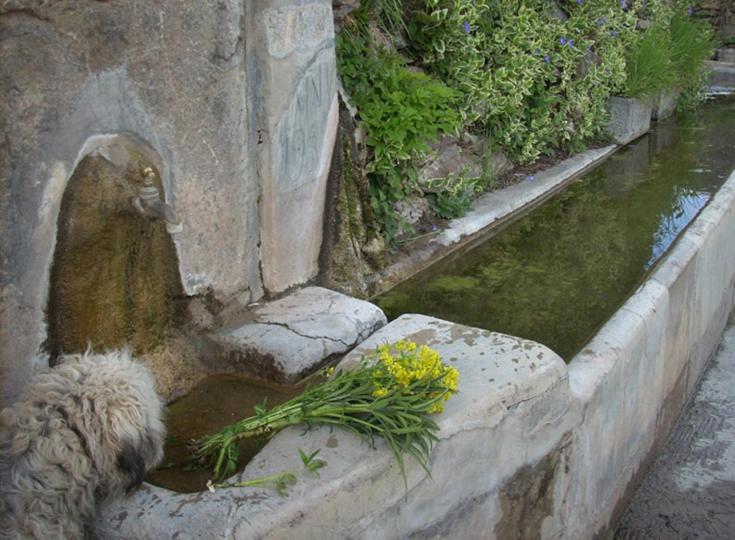 Casa Rural Vilaspasa, Alquiler Integro Gotarta Екстериор снимка